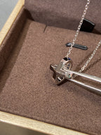 ¡®Lumi¡¯LIENS DIAMOND SILVER NECKLACE
